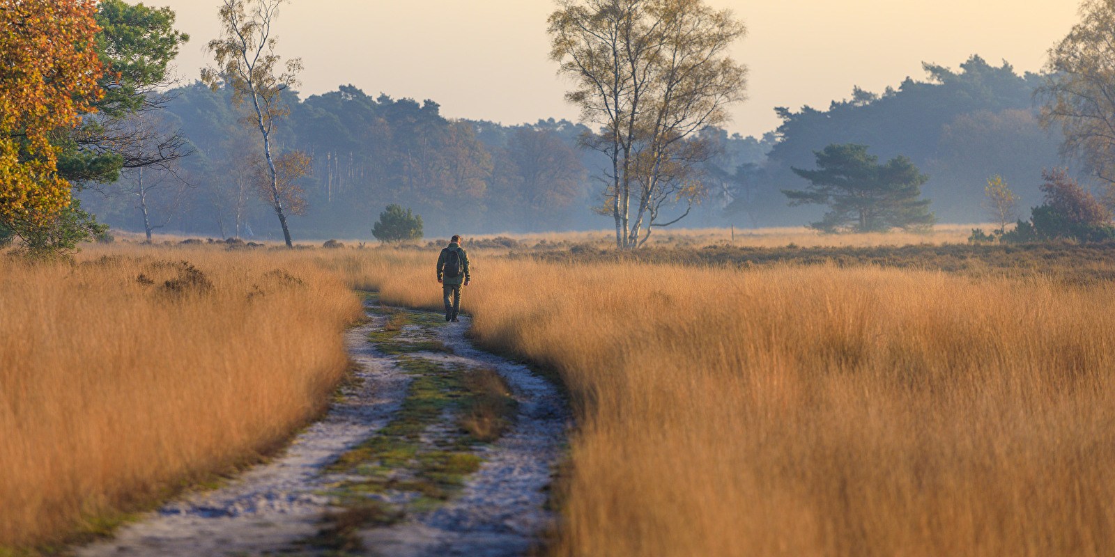 Duurzaam Toerisme: Hoe jij de Veluwe groen houdt