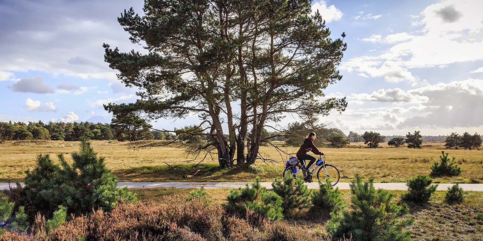 Fietsarrangementen op de Veluwe: Jouw gids voor een actieve vakantie